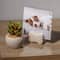 12 Pack: Ivory Bone 4" x 4" Photo Holder by Studio Décor®